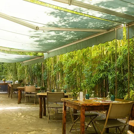 Restaurant Des Thermes